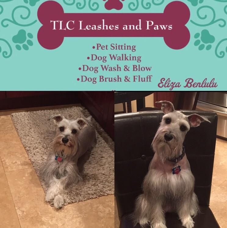 TLC Leashes and Paws