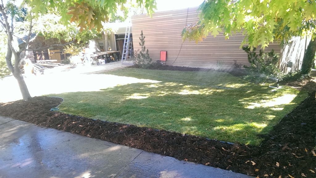 Boulder co. Landscaping