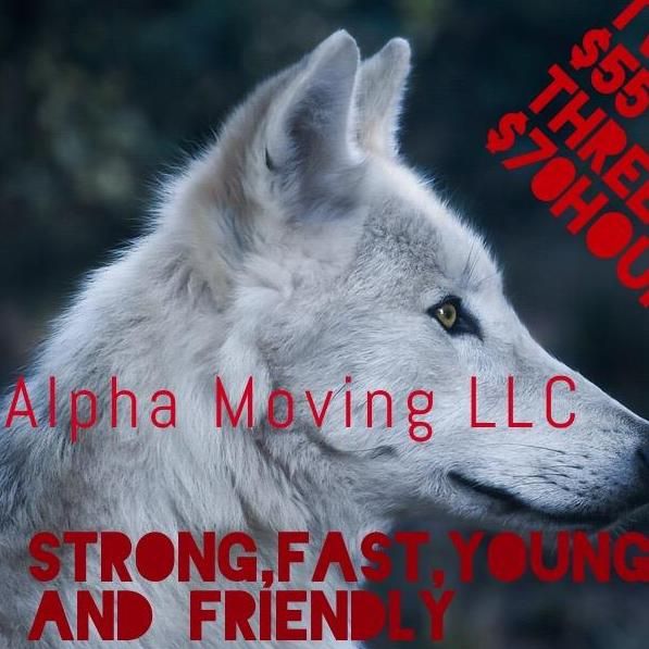 Alpha Moving LLC
