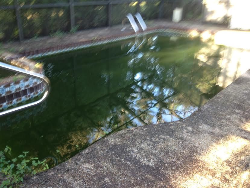 service pool 1- before photo #2