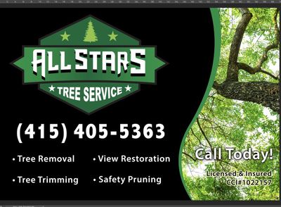 Avatar for All Stars Tree Service