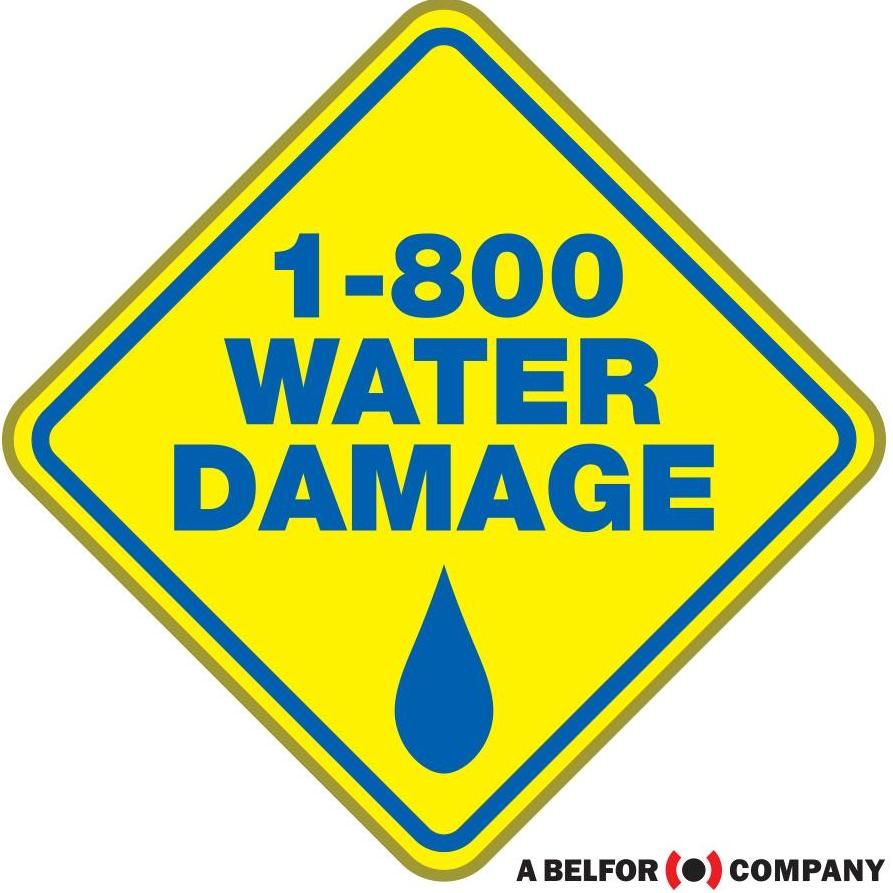 1-800 Water Damage of W. Ann Arbor/Jackson/Lansing