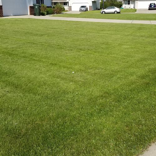 Brian Brisbane Lawn Care Green Bay, WI Thumbtack