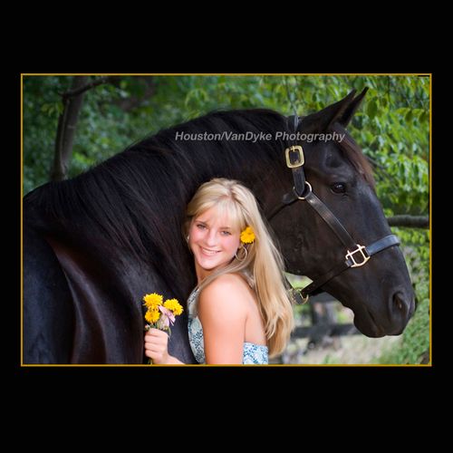 Equine/Horse portraits by Linda Houston.  It take 