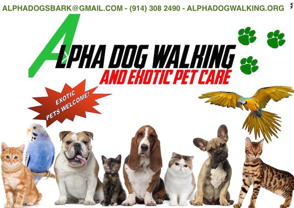 Alpha Dog Walking & Exotic Pet Care