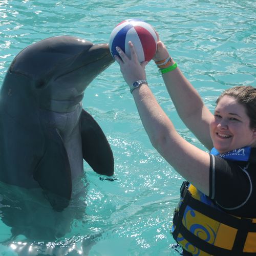 Have fun playing with dolphins in the Grand Cayman