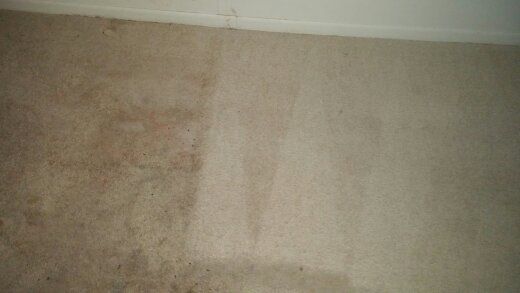 This was an apartment carpet that had been neglect