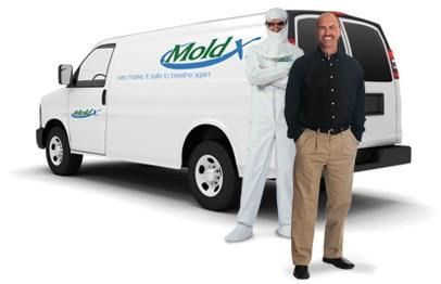 Mold Remediation and Testing Experts