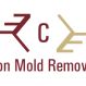 Charleston Mold Removal Experts