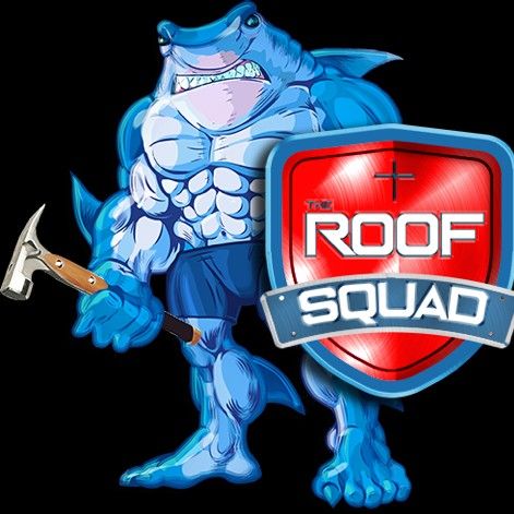 The Roof Squad