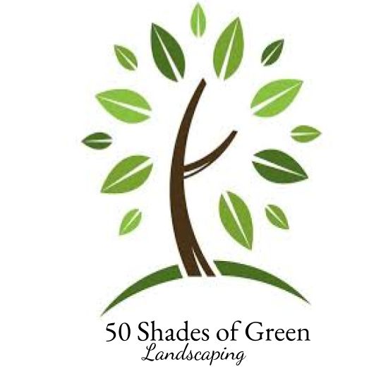 50 Shades Of Green