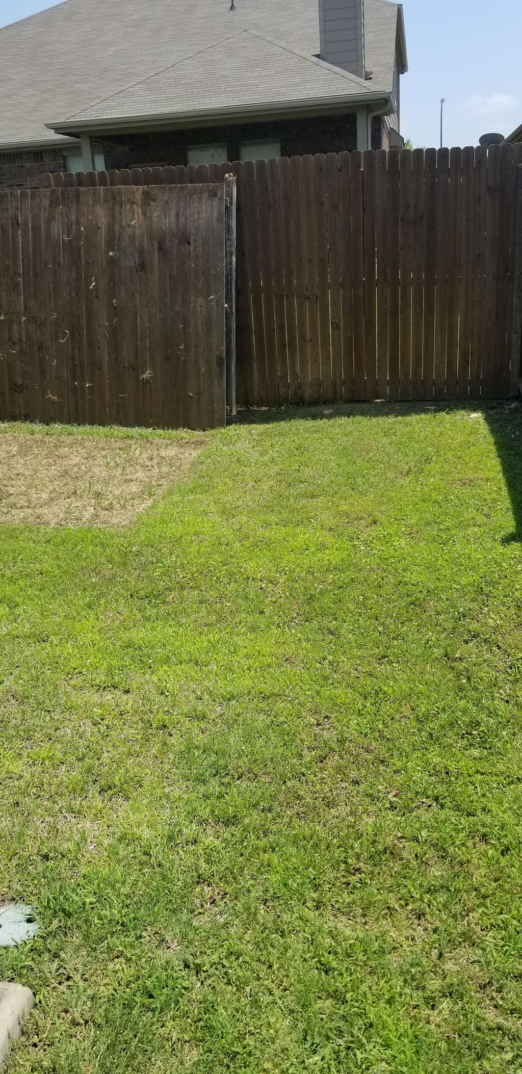 mowed lawn service 