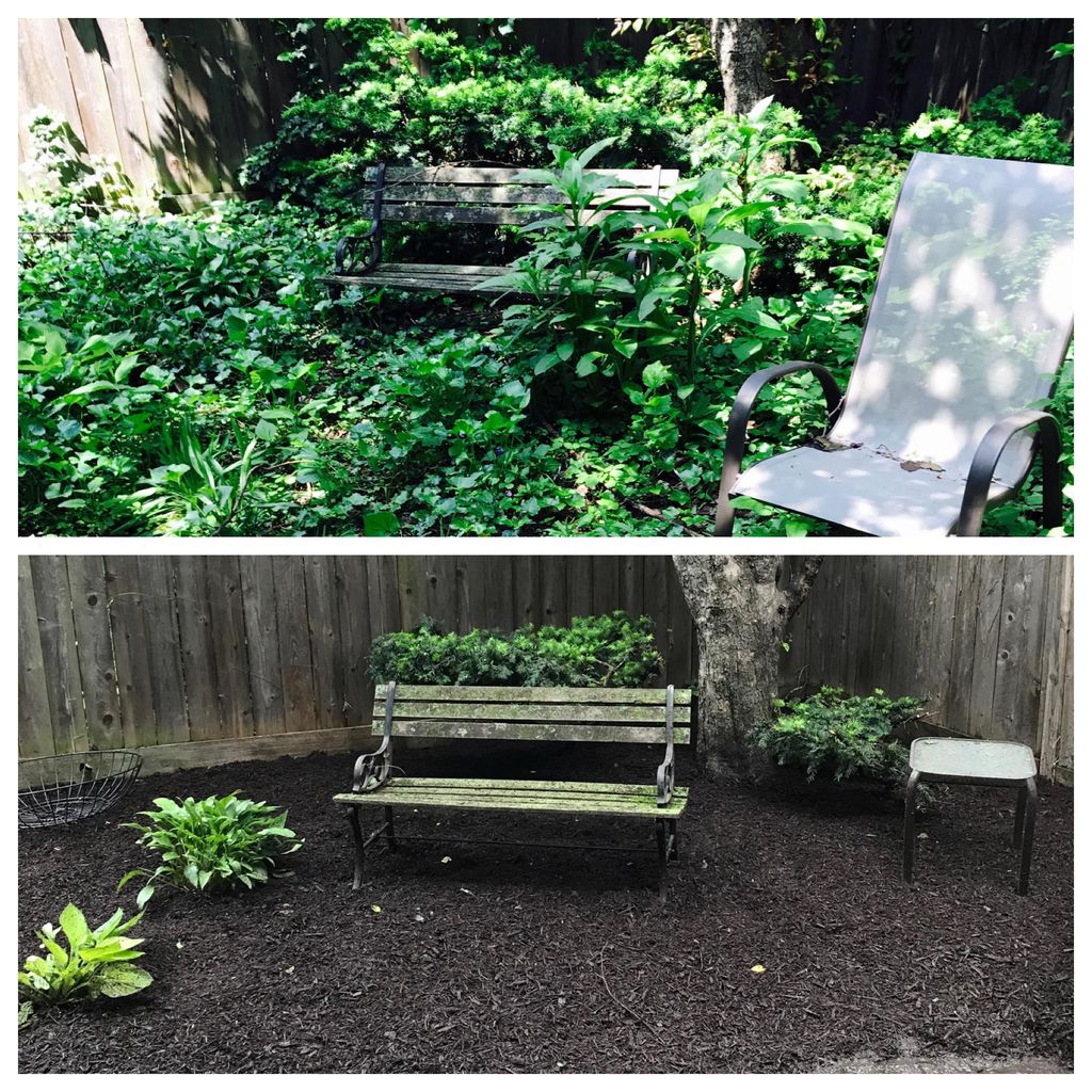 CLEAN UP & MULCHING JOB