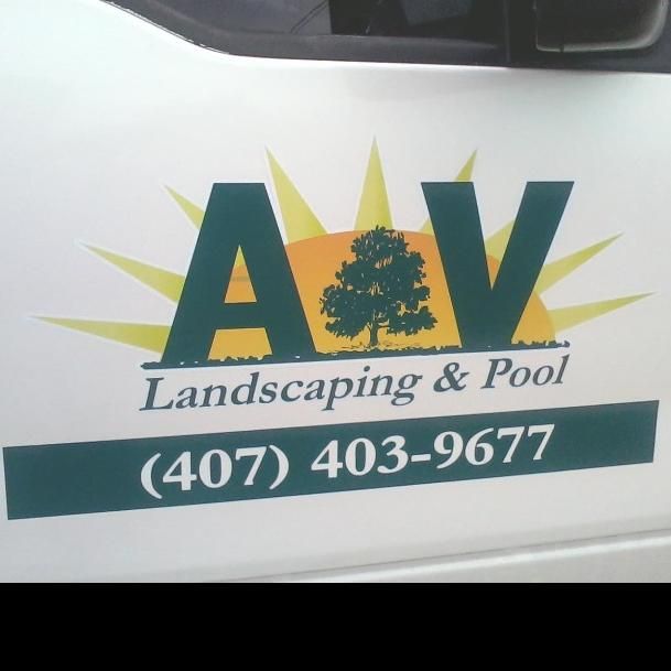 pro avatar