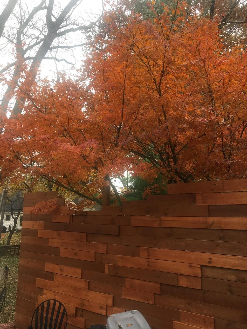 I couldn’t have matched that color if I had tried.