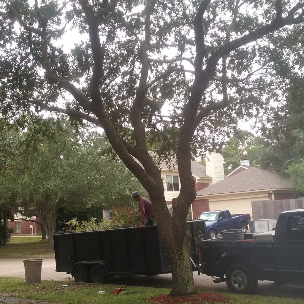Hernandez tree service