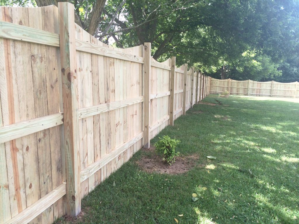 Scalloped privacy fence.