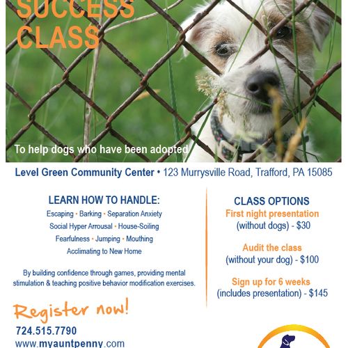 Classes for rescue dogs/shelters and their solutio