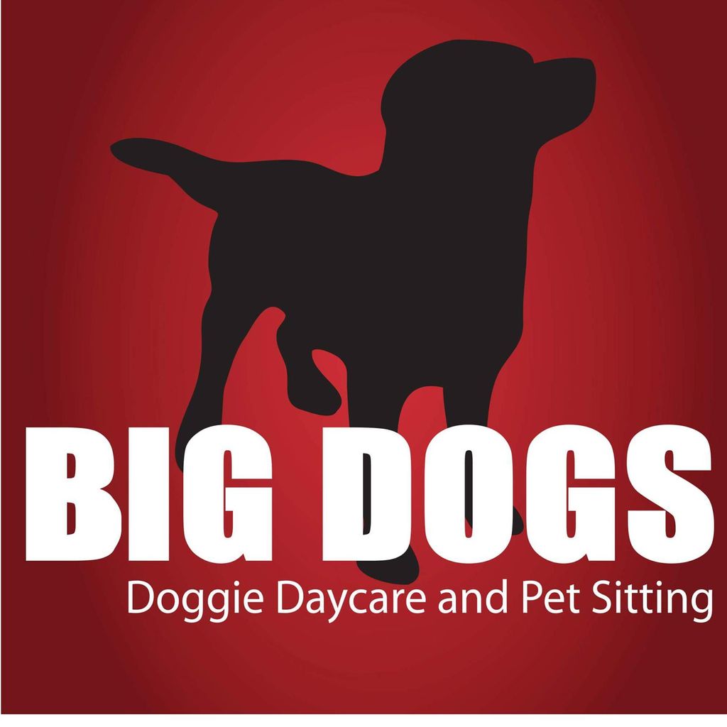 Big Dogs Doggie Daycare And Pet Sitting