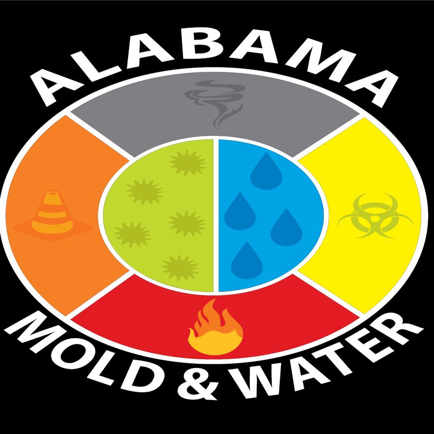 Alabama Mold and Water