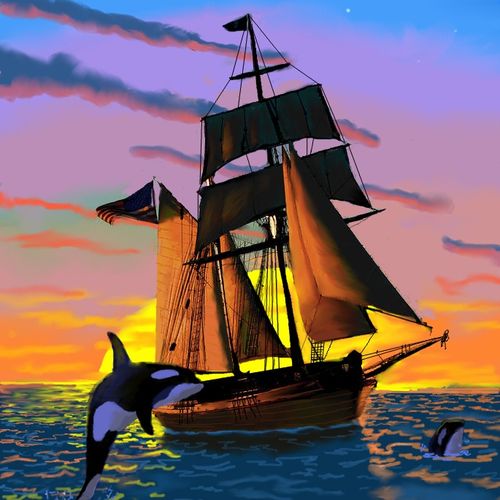 Orcas at Sunset