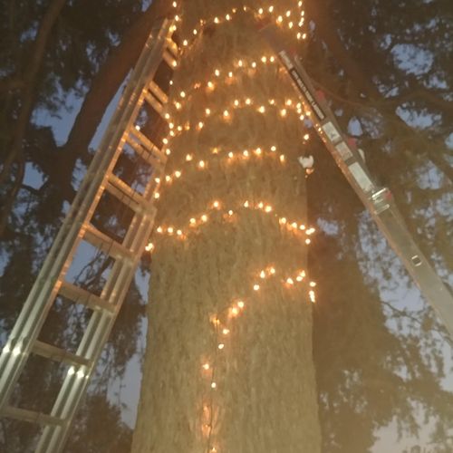 Light holiday decorations tree