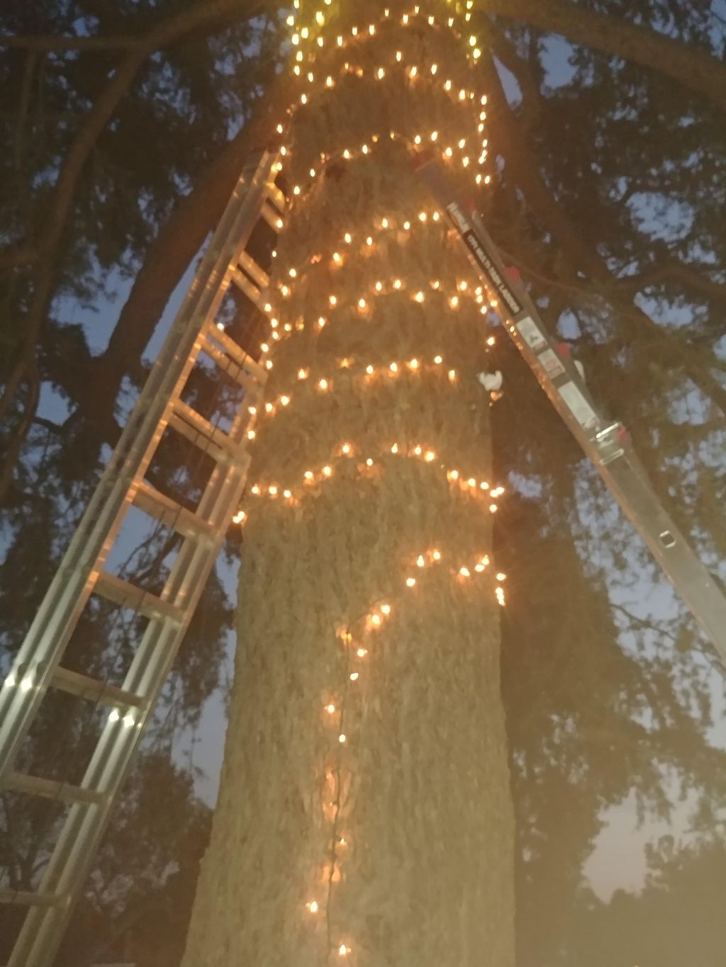 Light holiday decorations tree