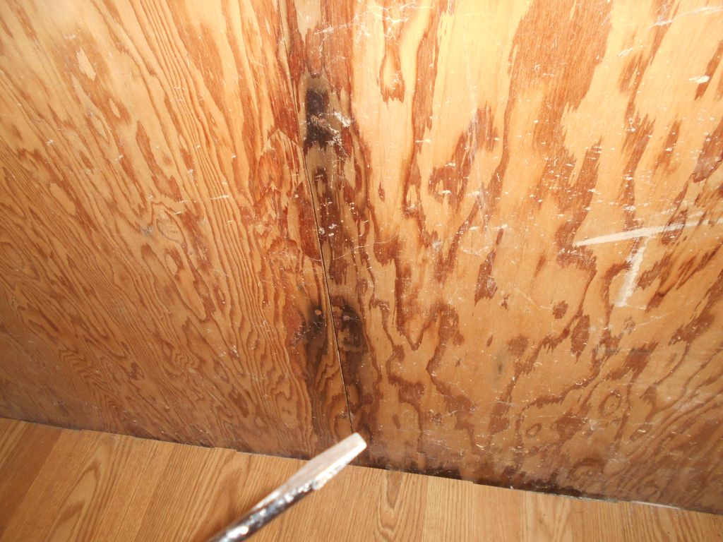 Sings of Attic Moisture Intursion