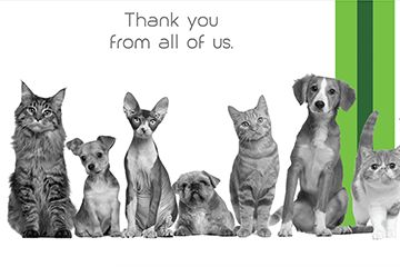 Market Momentum produced the thank you cards for t