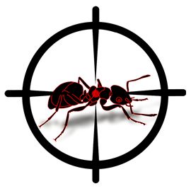 Assure-Tech Pest Control