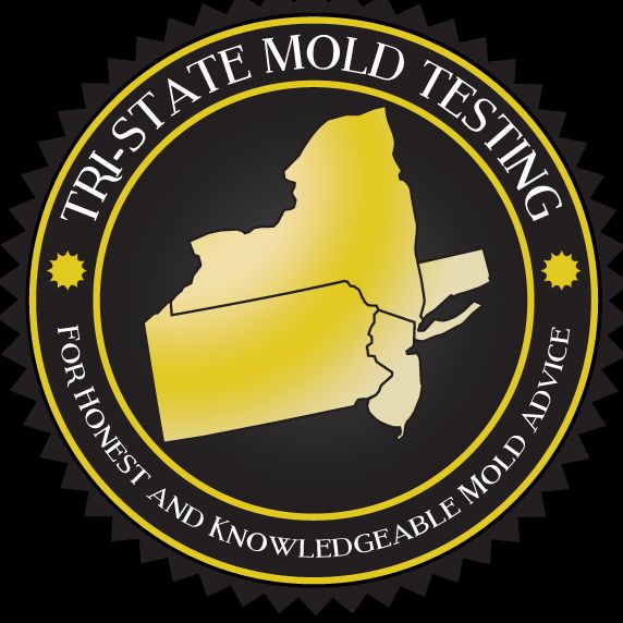Tri State Mold Testing