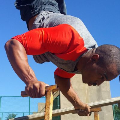 Avatar for Fit By Wilson