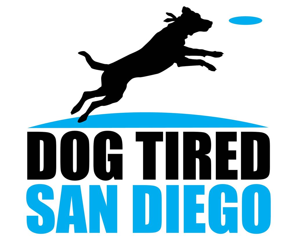 High Energy Dog Walking San Diego