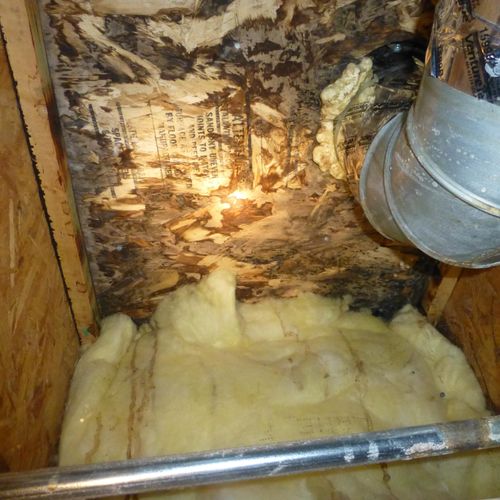 Mold can be found in areas that are hard to access