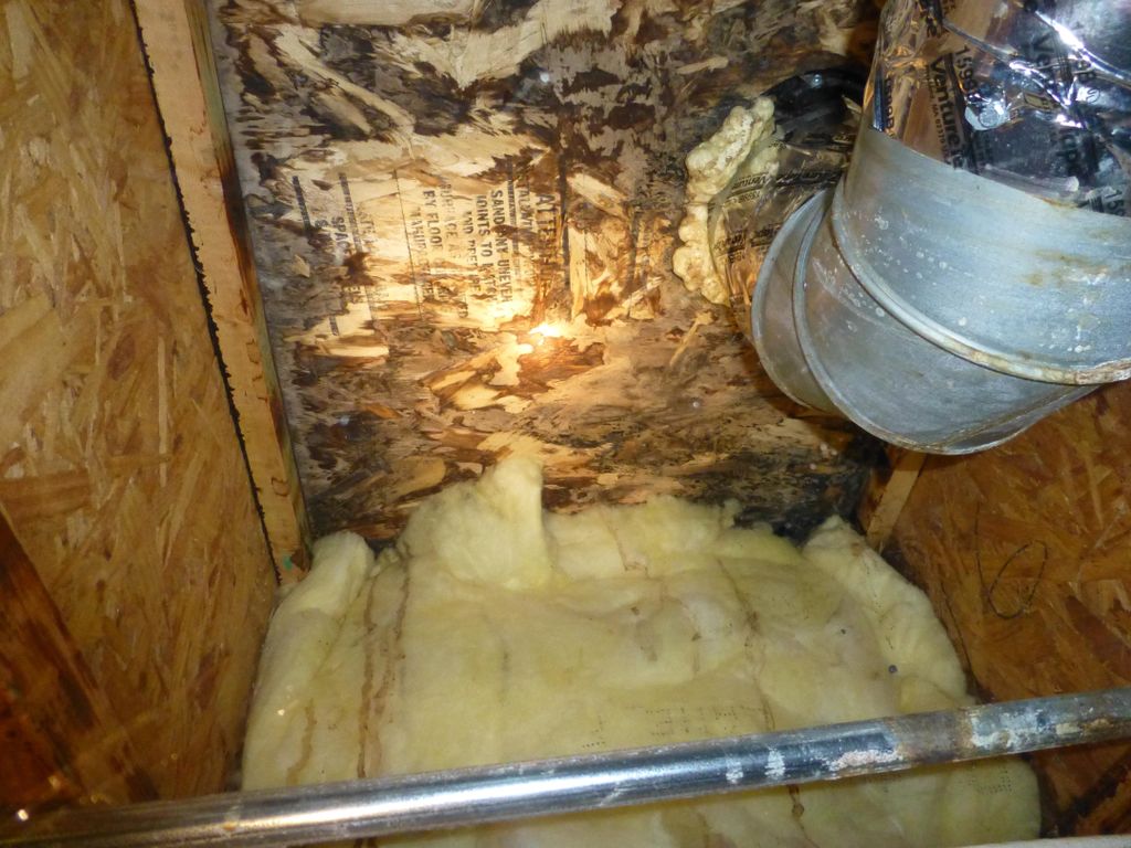 Mold can be found in areas that are hard to access