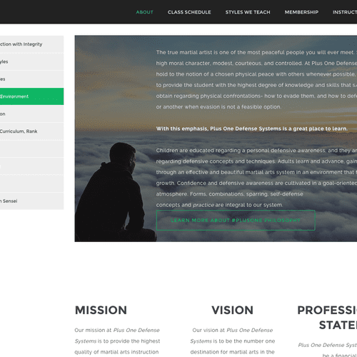 Plus One Defense Systems website redesign