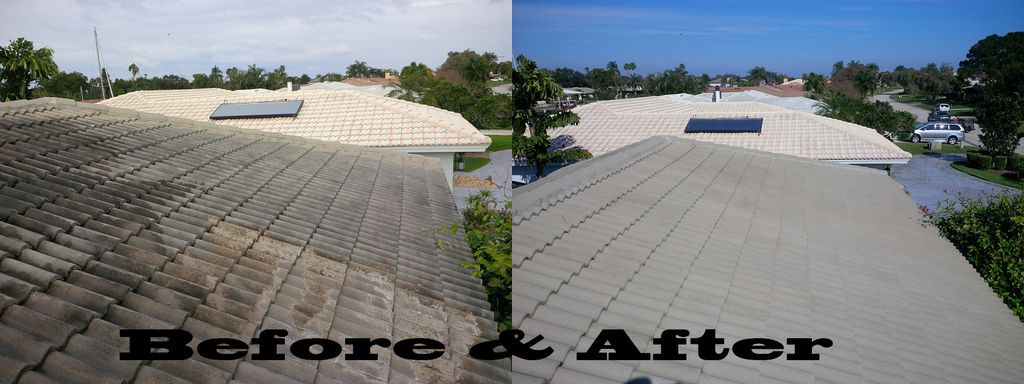 5 Star Review on this Job from Dan L.