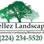 D. Tellez Landscaping