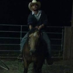 Davis Horse Training, Trimming & Riding Instruc...