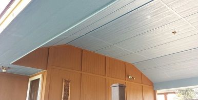 Horizon Blue to keep bugs away.