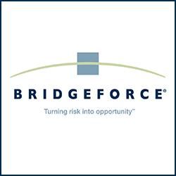 Bridgeforce LLC