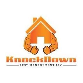 Knockdown Pest Management LLC
