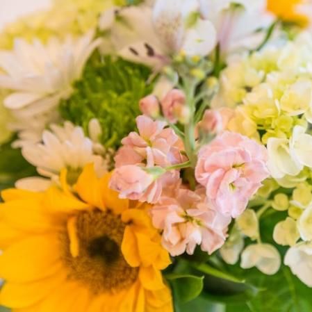 Standing Ovations Events