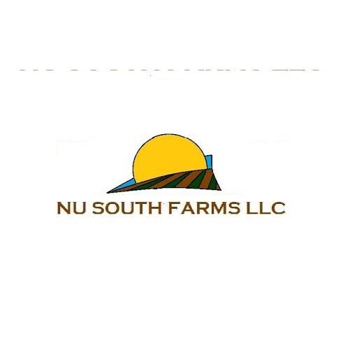 nu south property renovations