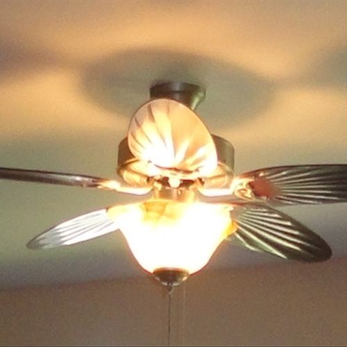 Ceiling Fan Install