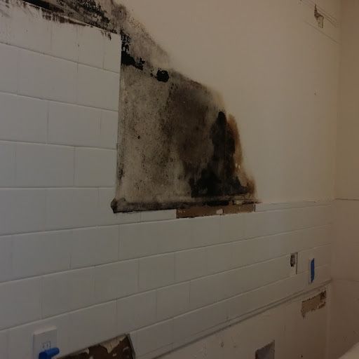 pic 2 mold behind tile and on drywall