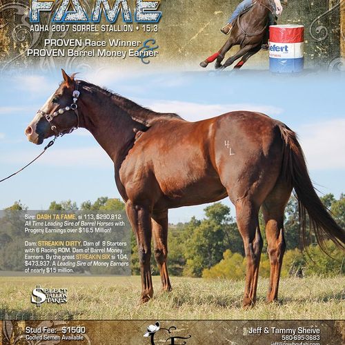 Stallion marketing package for Cowboy Fab. Include