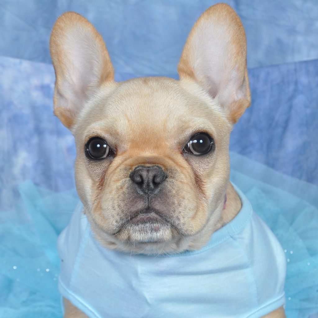 Best Friends Photography