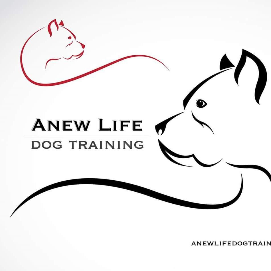 Anew Life Dog Training