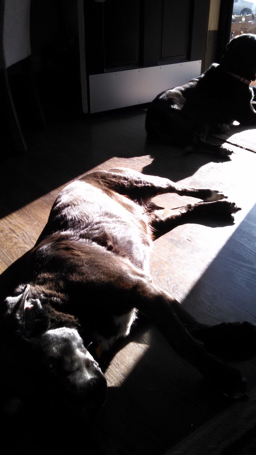 Ahh,,, a hard day's work is over